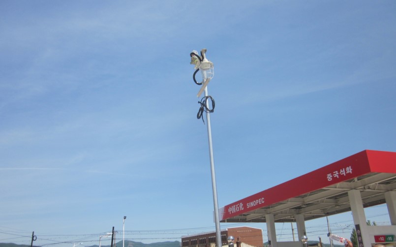 61cd102e81a97.jpg 1.jpg